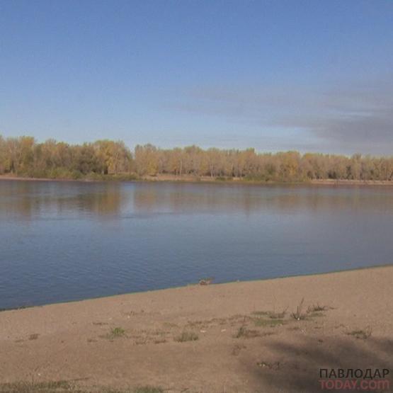 Более миллиона сеголеток карпа выпустили в водоемы Павлодарской области