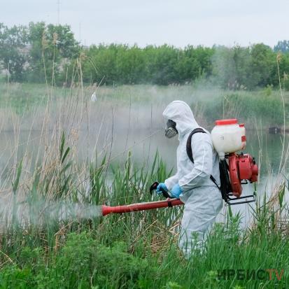 На съедение гнусу этой весной жителей Павлодарской области не дадут