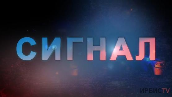 Сигнал