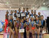 Соревнования по гимнастике финишировали в Павлодаре