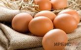 «Золотые» яйца: цены вновь выросли