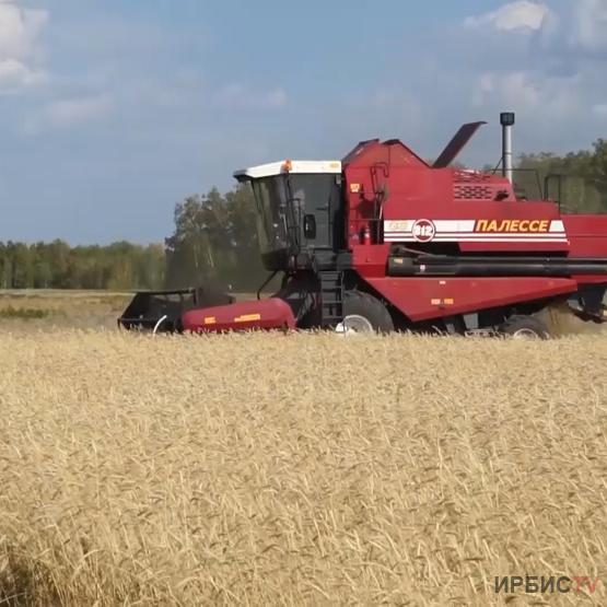 Из-за дождей сроки завершения уборки урожая сдвинулись