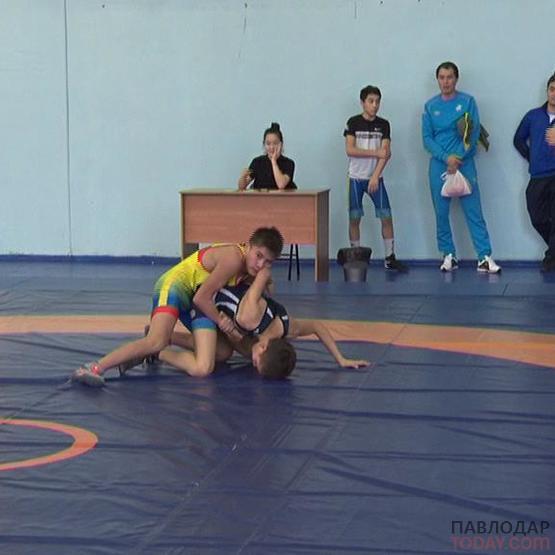 В Павлодаре прошел чемпионат республики по вольной борьбе