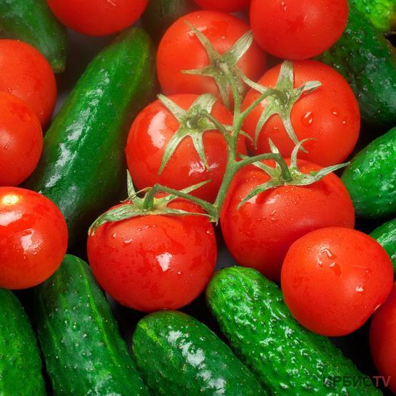 Семена томатов и огурцов впервые начнут субсидировать в Павлодарской области