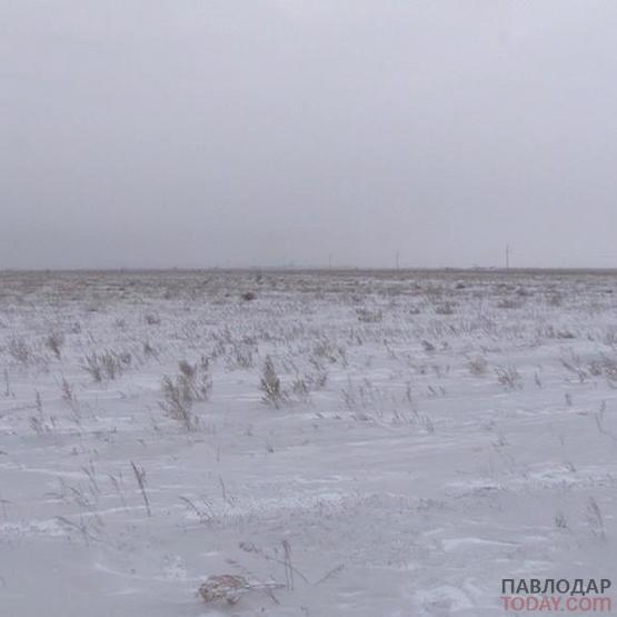 Сахарный завод планируют построить в Павлодарской области