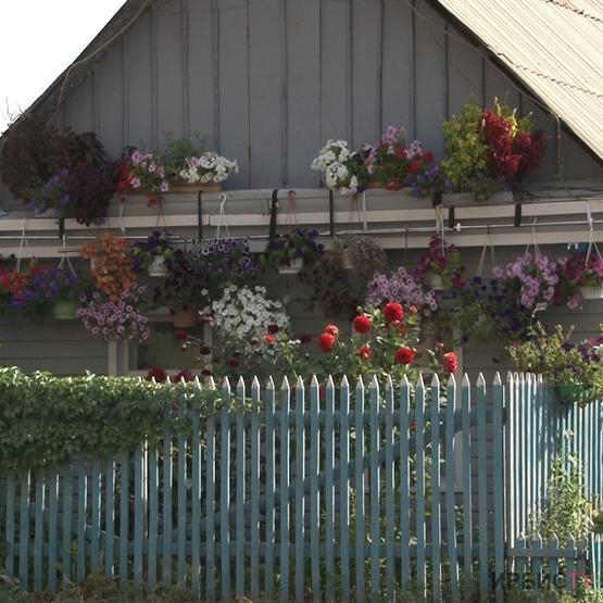 Цветочный сад во дворе дома вырастила жительница Павлодара