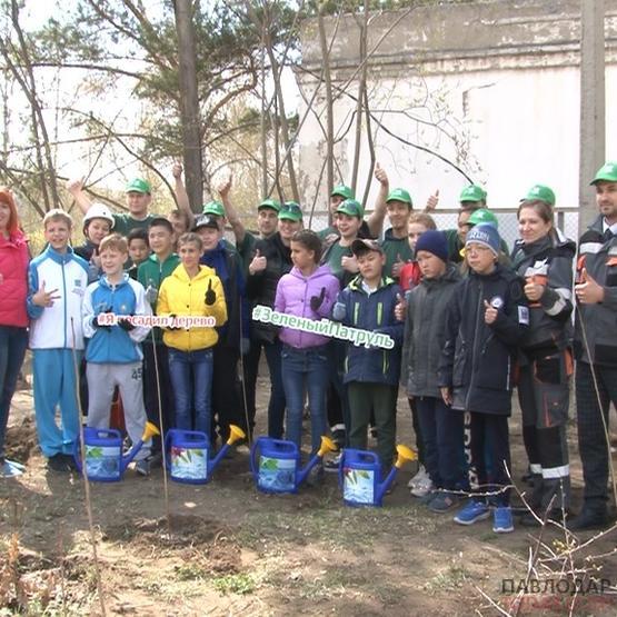 ECOteamERG АО «Алюминий Казахстана» сделала территорию специальной школы-интернат №4 еще зеленее
