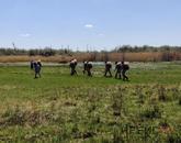 В Павлодаре против гнуса обработали уже 3,5 тысячи гектаров водоемов