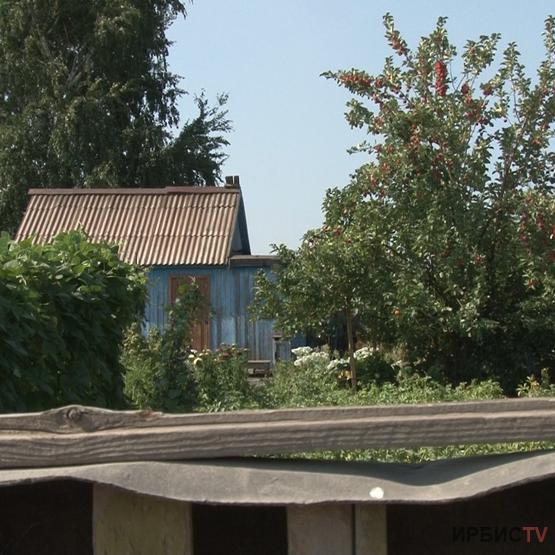 Под палящим солнцем сгорели насаждения - жалуются дачники трех садоводств в Павлодаре