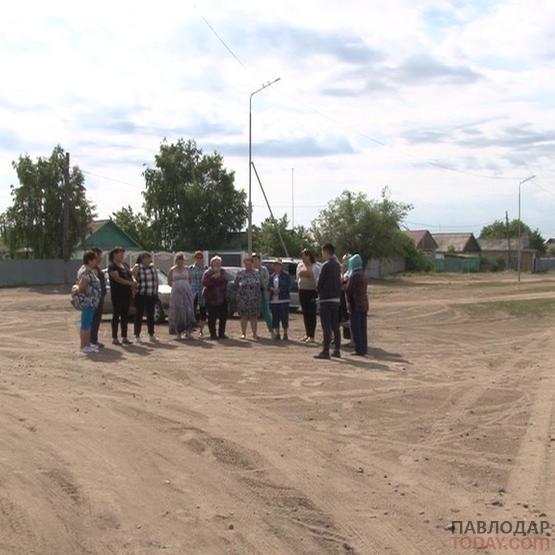 Жители села Павлодарское пытаются спасти от гнуса домашних животных и птицу
