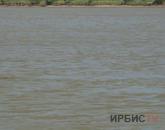 В селе Пресное в Иртыше утонул 64-летний мужчина