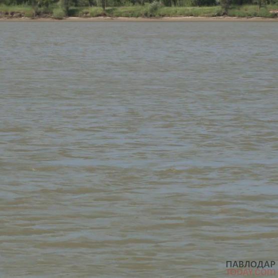 В селе Пресное в Иртыше утонул 64-летний мужчина
