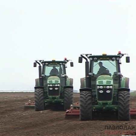 В Павлодарской области подберут «оптимальные» районы для сахарной свёклы и лучшие сорта