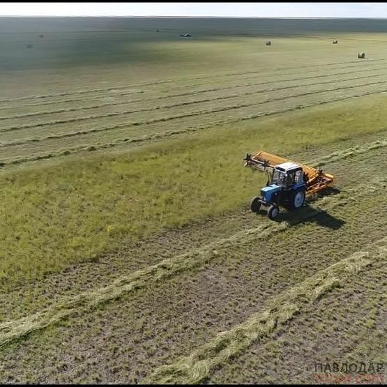 Сенокосная кампания стартовала в регионе