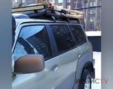 Охотнику, оставившему волков на крыше автомобиля во дворе многоэтажки в Павлодаре, грозит штраф