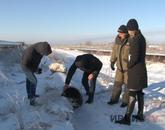 В Павлодаре более 2000 дачных участков весной могут остаться без воды
