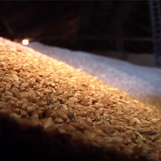 В Павлодарской области завершили уборку зерновых