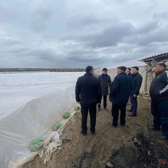 В марте ожидается поставка овощей из южных регионов в Павлодарскую область