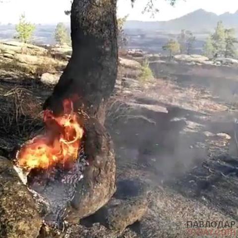 Подсчитан ущерб и площади от крупных пожаров  в Баянаульском национальном парке