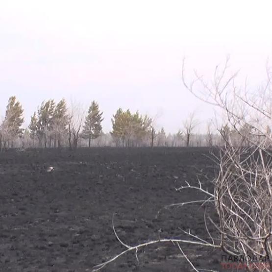Пятый уровень пожароопасности объявили в Павлодарской области