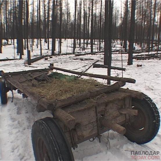 В 150 с лишним тысяч тенге обошлась жителю региона прогулка по Чалдайскому бору