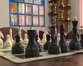 В Павлодаре продолжается первый онлайн турнир по шахматам