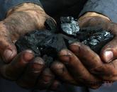 В Павлодарской области объёмы добычи угля растут, а цены не падают