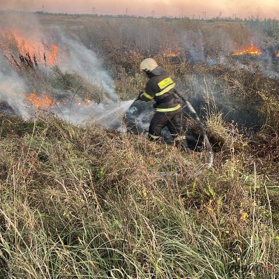 Четыре раза павлодарские пожарные тушили возгорания сухой травы в сёлах