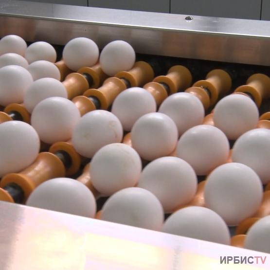 Яйца подешевели в Павлодарской области