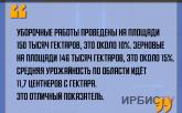 «Средняя урожайность по области идёт 11,7 центнеров с гектара»