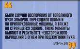 «Были случаи возгорания от тополиного пуха заборов»