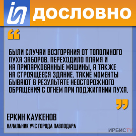 «Были случаи возгорания от тополиного пуха заборов»