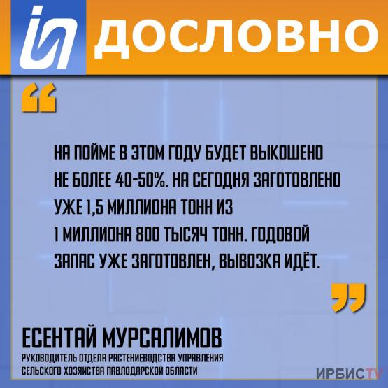 «Годовой запас уже заготовлен, вывозка идёт».