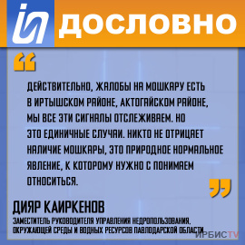 «Никто не отрицает наличие мошкары, это природное нормальное явление»