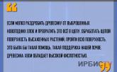 «Древесина хвои обладает высокой кислотностью»