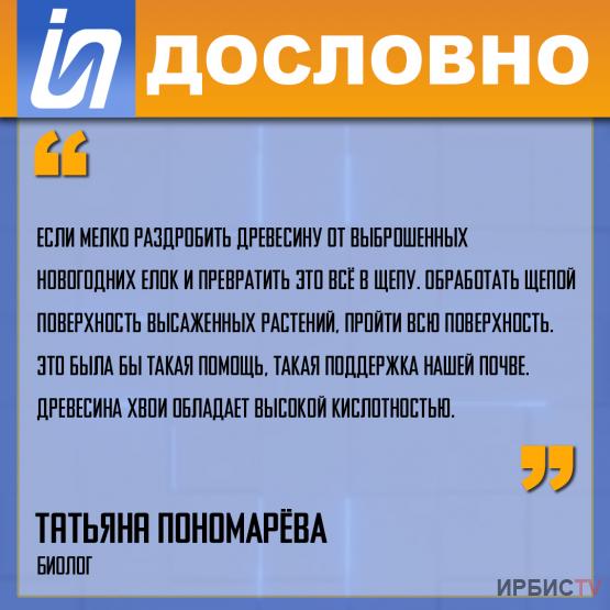 «Древесина хвои обладает высокой кислотностью»