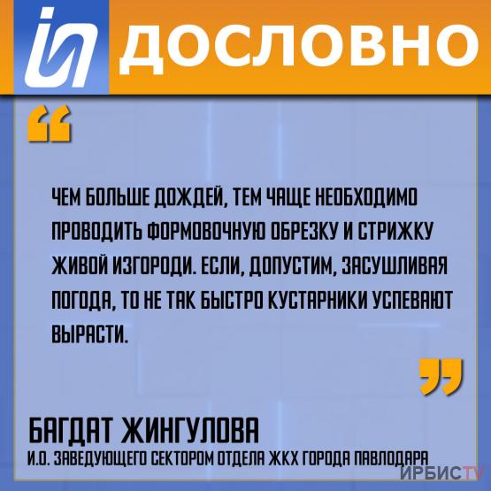 «Чем больше дождей, тем чаще необходимо проводить формовочную обрезку живой изгороди»