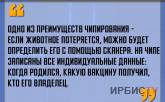 «Преимущество чипирования - если животное потеряется, можно будет определить его с помощью сканера»