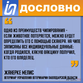 «Преимущество чипирования - если животное потеряется, можно будет определить его с помощью сканера»