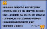 «Чипирование породистых животных делают в основном городские»