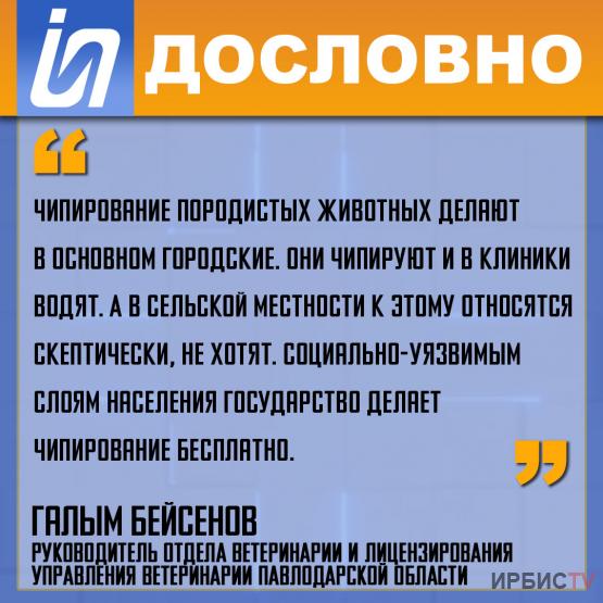 «Чипирование породистых животных делают в основном городские»