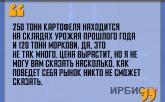 «250 тонн картофеля находится на складах урожая прошлого»