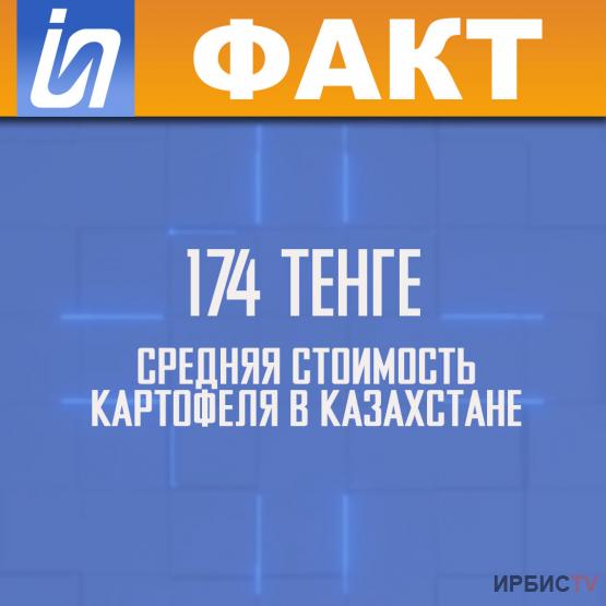 174 тенге средняя стоимость картофеля в Казахстане