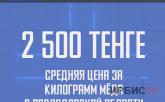 2 500 тенге средняя цена за килограмм мёда в Павлодарской области