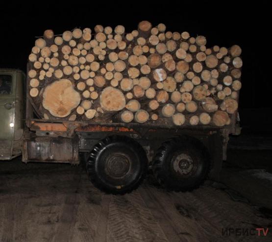 Большегруз с древесиной без разрешительных документов задержали в Павлодарской области