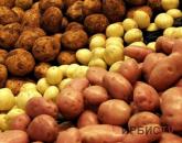 В павлодарских магазинах резко подорожал картофель
