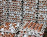 О снижении отпускных на яйцо заявили на двух павлодарских птицефабриках