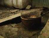 Жители второго Павлодара требуют привлечь столичных экспертов для оценки канализации