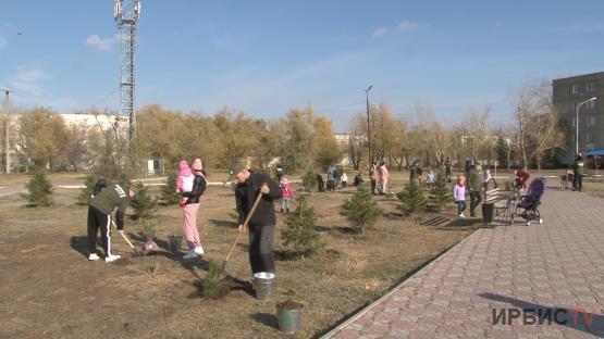 Озеленение Аксу: сотрудники АЗФ провели акцию «Жасыл Казхром»